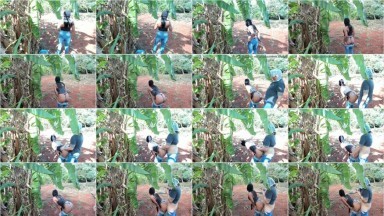 Dibawah pohon Pisang - Bokep Indo Terbaru