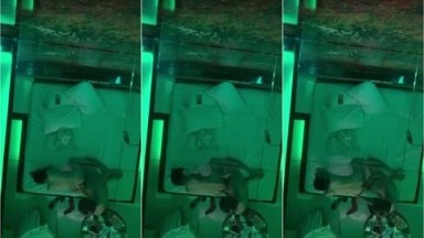 Eksekusi TTM lonte yg merangkap jadi Dj 3 - Bokep Indo Terbaru