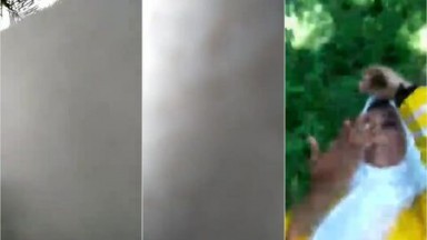Bokep Indo Abg Kena Ospek Ngeue - Bokepindoh
