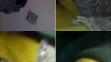 Bokep Indo Jilbab 301 - Bokepindoh